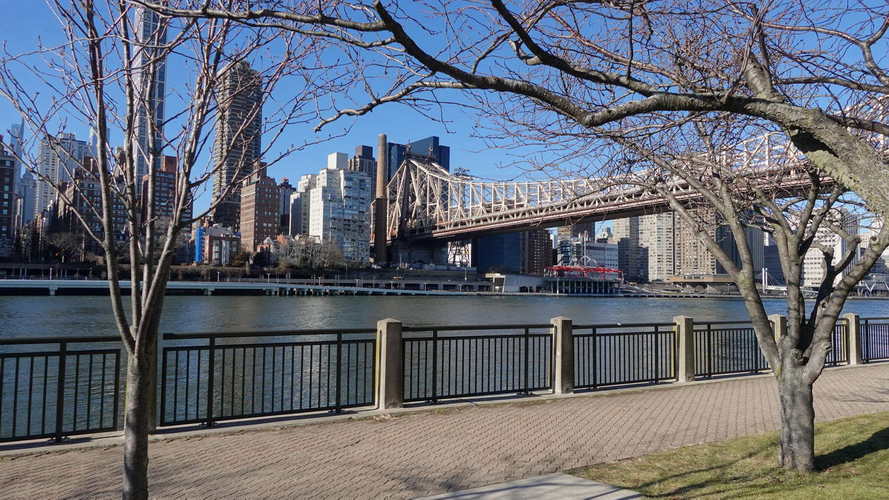 NYC_2024-02-05 14-21-21_RX_07450